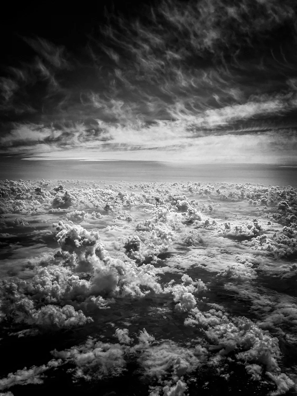 Book Launch: Life Through My Lens, by Timothy White photo row2 5